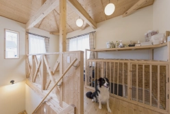 木造のロフトスペースで犬がリラックスしている様子。ペット用スペースが用意されている。