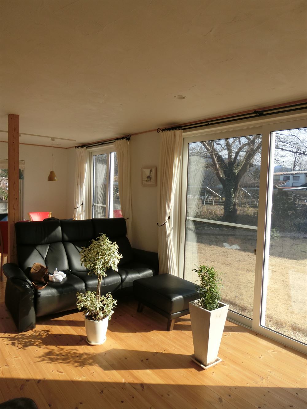 大きな窓から日光が差し込む明るい空間