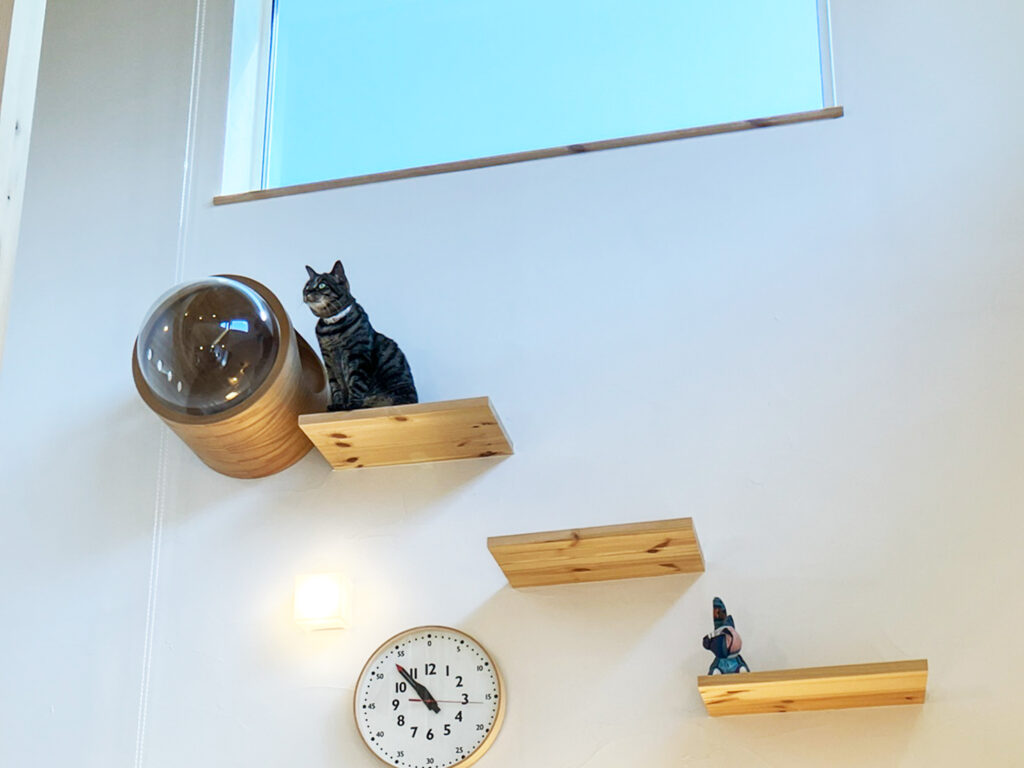注文住宅　森の家　熊谷市　平屋　高気密・高断熱　猫との暮らし