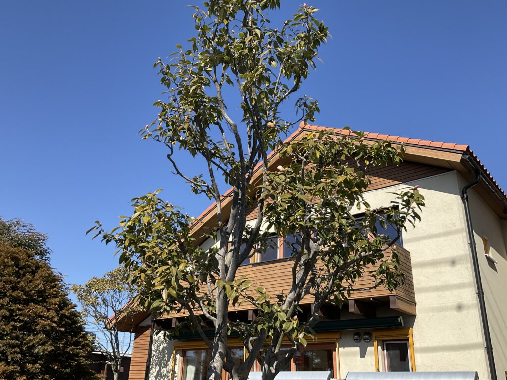 森の家　熊谷 パッシブハウス　暖かい家